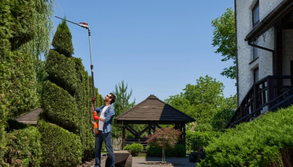 Front yard landscaping