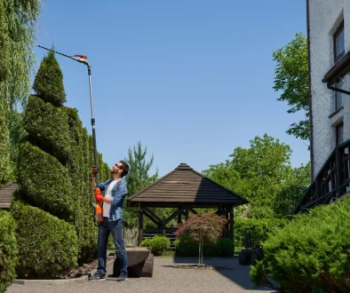 Front yard landscaping