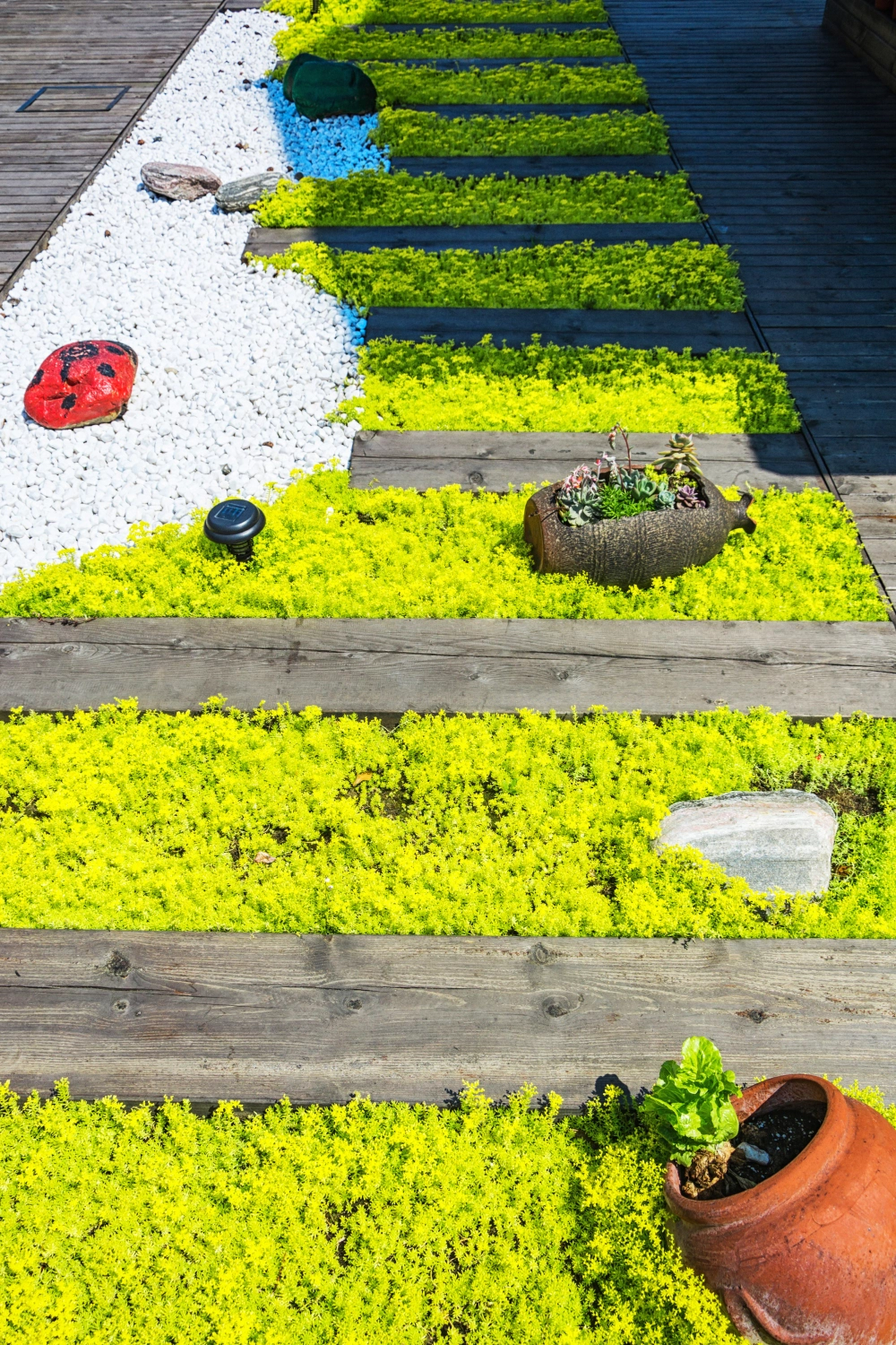 Front yard with layered landscaping: shrubs, colorful flowers, and small trees.